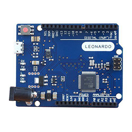 Leonardo R3